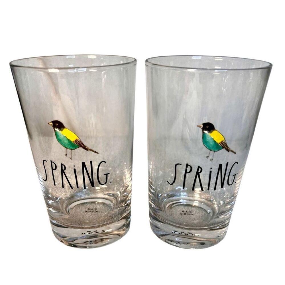 Rae Dunn Home  Set of 2 Glass Spring Tumblers 16 oz. Glasses